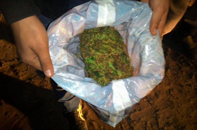 ЙПХ инспекторлари томонидан фуқаро 1,5 кг ортиқ «марихуана» билан ушланди